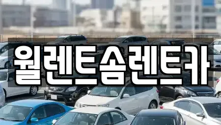 경기 수원시 장안구 연무동 렌트카 전문 월렌트솜렌트카