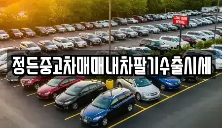 경기 수원시 장안구 연무동 중고차 전문 정든중고차매매내차팔기수출시세