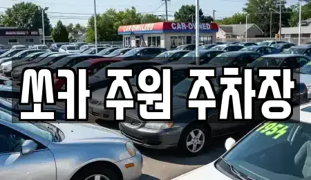 경기 파주시 금촌동 렌트카 전문 쏘카 주원 주차장