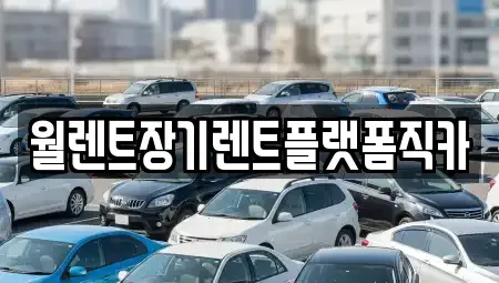 경기 평택시 서탄면 장기렌트카 전문 월렌트장기렌트플랫폼직카