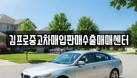 경기 평택시 서탄면 중고차매입 전문 김프로중고차매입판매수출매매센터