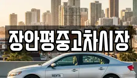 경기 하남시 하사창동 중고차매매 전문 장안평중고차시장