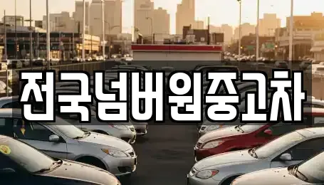 경기 하남시 하사창동 중고차매매 전문 전국넘버원중고차