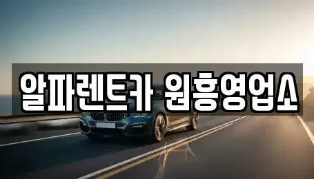 경기도 고양시 덕양구 신원동 렌트카 전문 알파렌트카 원흥영업소