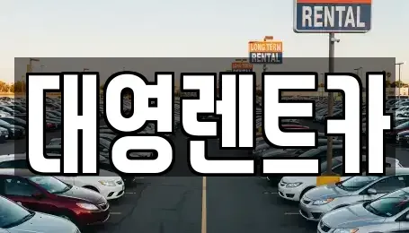 경기도 고양시 덕양구 신원동 장기렌트카 전문 대영렌트카