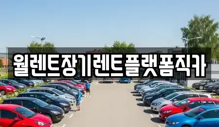 경기도 고양시 덕양구 신원동 장기렌트카 전문 월렌트장기렌트플랫폼직카