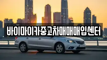 경기도 고양시 덕양구 신원동 중고차매매 전문 바이마이카중고차매매매입센터