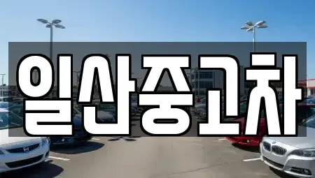 경기도 고양시 덕양구 신원동 중고차매매,단기렌트카,중고차매입,장기렌트카,중고차,렌트카