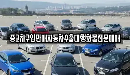 경기도 고양시 덕양구 신원동 중고차매매 전문 중고차구입판매자동차수출대행화물전문매매