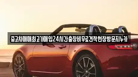 경기도 고양시 덕양구 신원동 중고차매입 전문 중고차매매최고가매입24시간출장비무료견적현장방문지누카