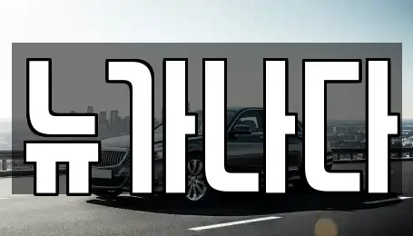 경기도 고양시 일산서구 법곳동 렌트카 전문 뉴가나다