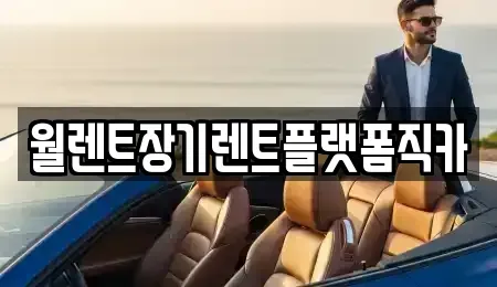 경기도 고양시 일산서구 법곳동 장기렌트카 전문 월렌트장기렌트플랫폼직카