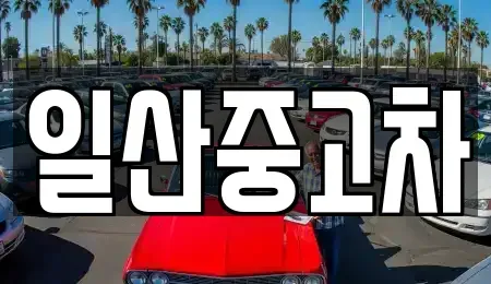경기도 고양시 일산서구 법곳동 중고차매매 전문 일산중고차