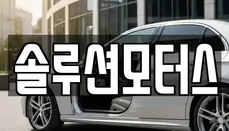 경기도 성남시 수정구 신촌동 단기렌트카 전문 솔루션모터스