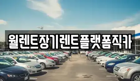 경기도 성남시 수정구 신촌동 장기렌트카 전문 월렌트장기렌트플랫폼직카