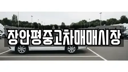 경기도 성남시 수정구 신촌동 중고차매매 전문 장안평중고차매매시장