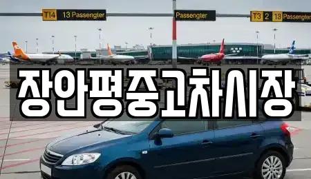 경기도 성남시 수정구 신촌동 중고차매매 전문 장안평중고차시장