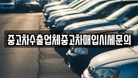 경기도 성남시 수정구 신촌동 중고차매매 전문 중고차수출업체중고차매입시세문의