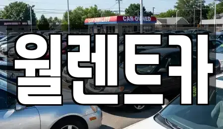 경기도 안성시 계동 렌트카 전문 월렌트카