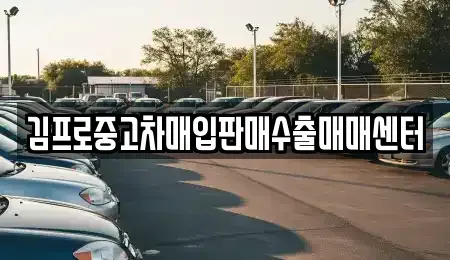 경기도 안성시 계동 중고차매입 전문 김프로중고차매입판매수출매매센터