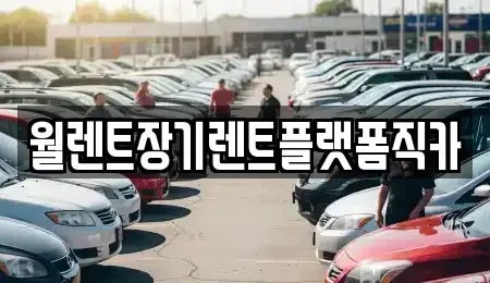 경기도 안성시 보개면 렌트카 전문 월렌트장기렌트플랫폼직카