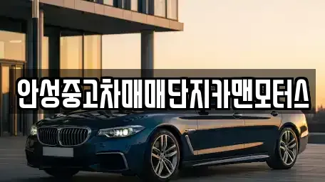 경기도 안성시 보개면 중고차 전문 안성중고차매매단지카맨모터스