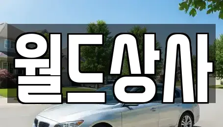 경기도 안성시 보개면 중고차 전문 월드상사