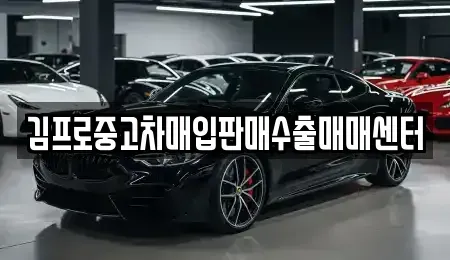 경기도 안성시 보개면 중고차매입 전문 김프로중고차매입판매수출매매센터