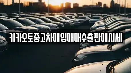 경기도 안성시 보개면 중고차매입 전문 카카오토중고차매입매매수출판매시세