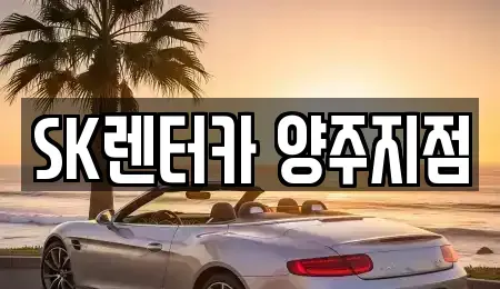 경기도 양주시 고읍동 렌트카,단기렌트카,장기렌트카,중고차,중고차매매,중고차매입