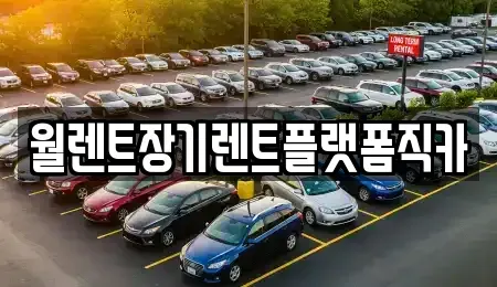 경기도 양주시 고읍동 렌트카 전문 월렌트장기렌트플랫폼직카