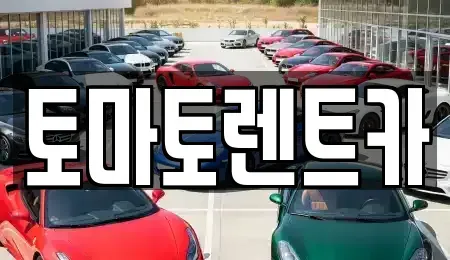 경기도 양주시 고읍동 렌트카 전문 토마토렌트카