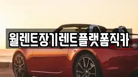 경기도 포천시 신북면 렌트카 전문 월렌트장기렌트플랫폼직카