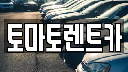 경기도 포천시 신북면 렌트카 전문 토마토렌트카