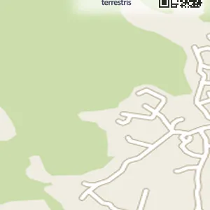 경기도 포천시 신북면 렌트카 허니문렌트카 위치