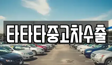 경기도 포천시 신북면 중고차매매 전문 타타타중고차수출