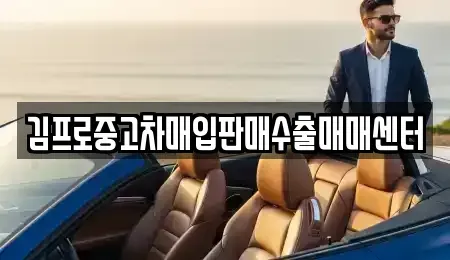 경기도 포천시 신북면 중고차매입 전문 김프로중고차매입판매수출매매센터