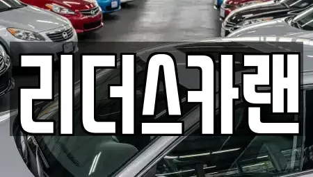 경기도 하남시 신장동 단기렌트카 전문 리더스카랜