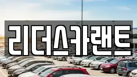 경기도 하남시 신장동 단기렌트카 전문 리더스카랜트
