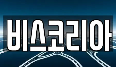 경기도 하남시 신장동 렌트카 전문 비스코리아