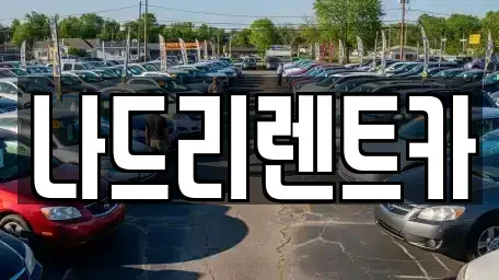 경기도 하남시 신장동 장기렌트카 전문 나드리렌트카