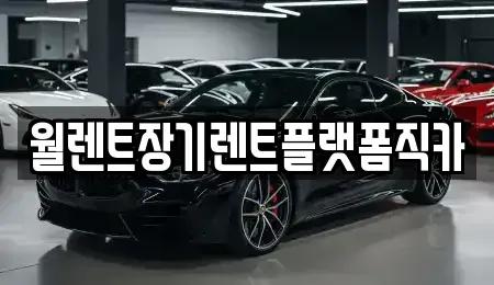 경기도 하남시 신장동 장기렌트카 전문 월렌트장기렌트플랫폼직카