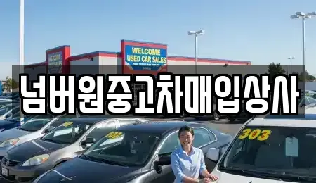 경기도 하남시 신장동 중고차매매 전문 넘버원중고차매입상사