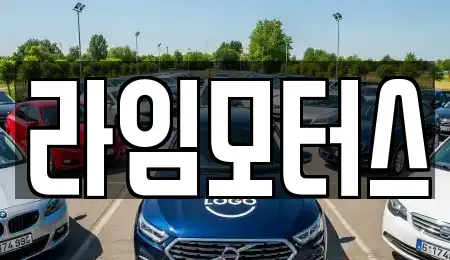 경기도 하남시 신장동 중고차매매 전문 라임모터스