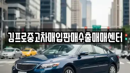 경기도 하남시 신장동 중고차매입 전문 김프로중고차매입판매수출매매센터