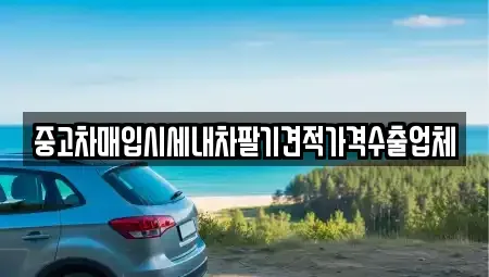 경기도 하남시 신장동 중고차매입 전문 중고차매입시세내차팔기견적가격수출업체