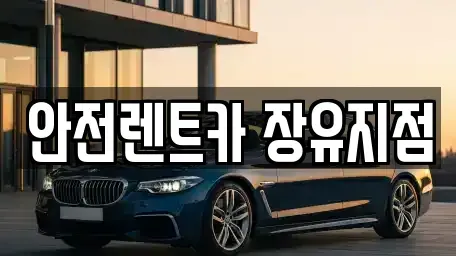 경남 김해시 대청동 렌트카 전문 안전렌트카 장유지점