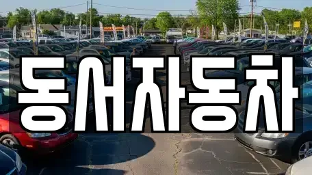경남 진주시 대안동 중고차 전문 동서자동차