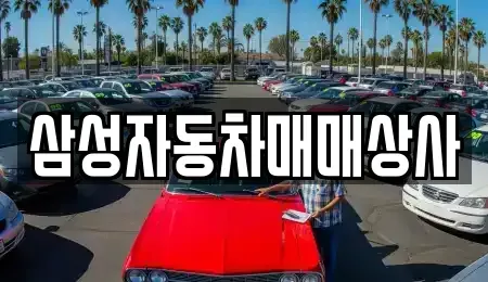 경남 진주시 대안동 중고차 전문 삼성자동차매매상사