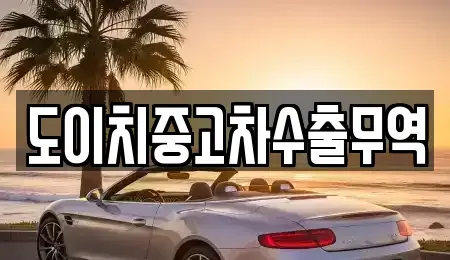 경남 창원시 마산합포구 신흥동 중고차 전문 도이치중고차수출무역